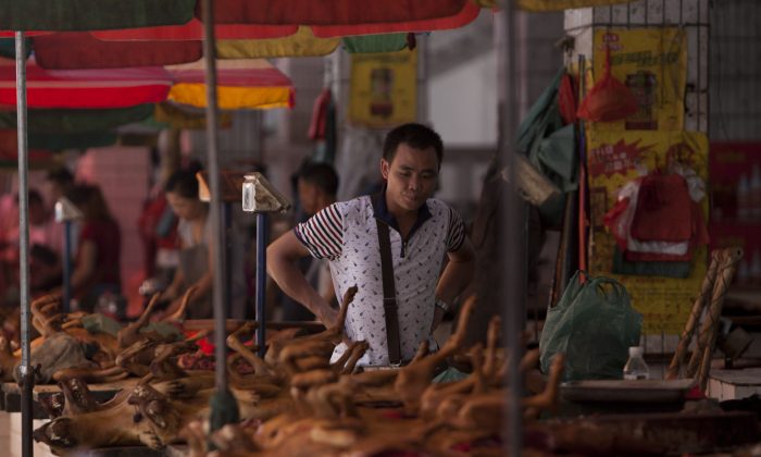 Собачье мясо в продаже на рынке в Юйлине, в провинции Гуанси на юге Китая, 17 июня 2015 г. (STR / AFP / Getty Images) | Epoch Times Россия