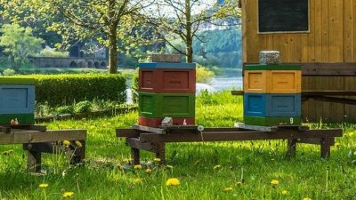 Голливудский актёр Морган Фримен приютил у себя на ранчо пчёл, потому что от них зависит 80% растительной пищи