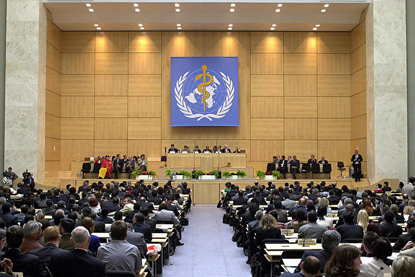 Всемирная ассамблея здравоохранения в Женеве во время открытия 57-й ежегодной сессии, Швейцарии, 17 мая 2004 года. JEAN-PIERRE CLATOT/AFP via Getty Images | Epoch Times Россия