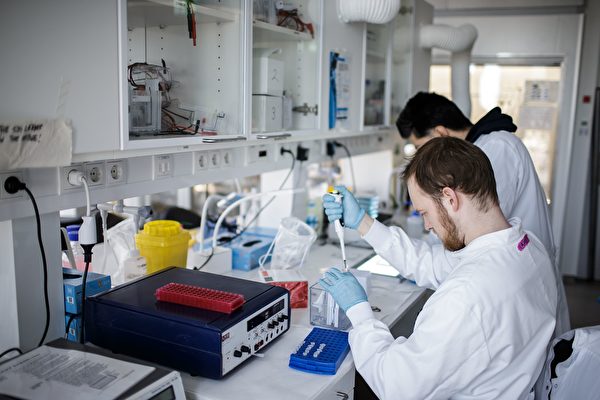 Исследователи работают над вакциной против нового коронавируса COVID-19 в исследовательской лаборатории Копенгагенского университета в Копенгагене, Дания, 23 марта 2020 года. THIBAULT SAVARY/AFP via Getty Images | Epoch Times Россия