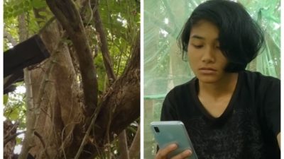 (Видео) Девушка сутки провела на дереве ради хорошего интернета. И во всём виноваты экзамены!