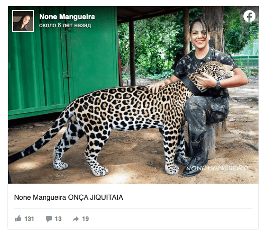 Солдаты спасли ягуара. Хищник вырос ручным, как домашний кот