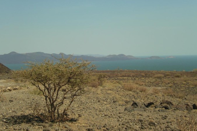 Озеро Туркана, Кения, где были найдены инструменты. Фото: Wikipedia Commons | Epoch Times Россия