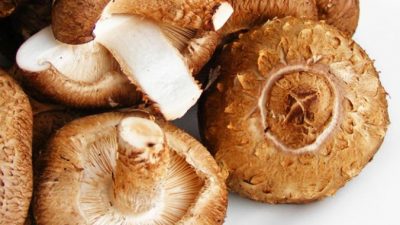 Японские грибы могут защитить от рака шейки матки