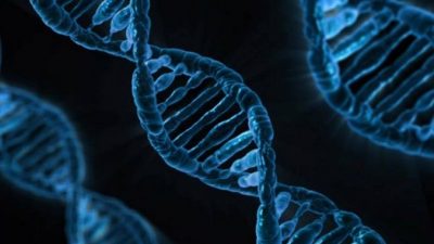 Древний ретровирус обнаружен в ДНК человека