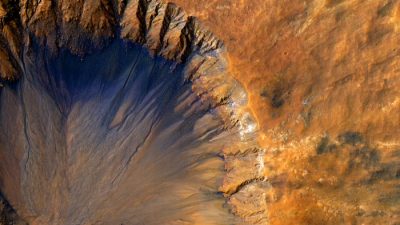 Синтетическая бактерия поможет колонизации Марса