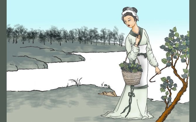 Девушка собирает листья шелковицы. Иллюстрация Сунь Минго / The Epoch Times | Epoch Times Россия