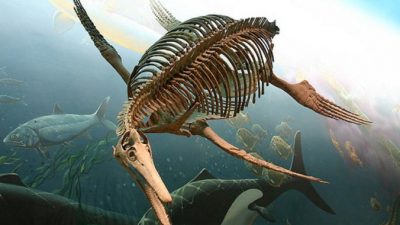 Древние морские чудовища: окаменелые скелеты ихтиозавров найдены в Великобритании