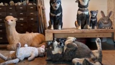 (Видео) Пёс затаился среди скульптур животных, и найти его непросто