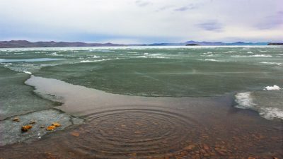 Озеро Байкал превращается в болото