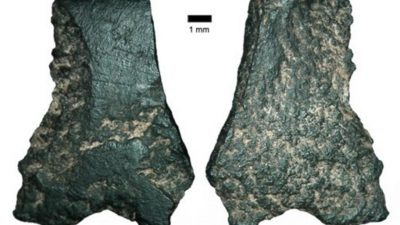 Фрагмент древнейшего в мире топора найден в Австралии