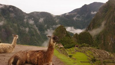 Мачу-Пикчу: между культурой и природой