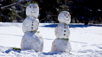 Японцы за час слепили 1585 снеговиков