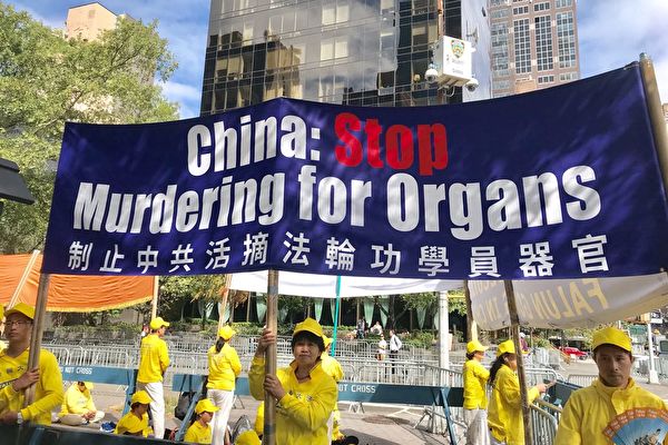 С 24 по 28 сентября 2019 года во время саммита ООН практикующие Фалуньгун призывали остановить преследование и извлечение органов у занимающихся Фалуньгун в Китае. Li Guixiu/The Epoch Times | Epoch Times Россия