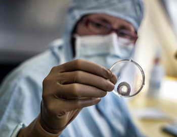 Роговица, пользующаяся спросом в трансплантационной хирургии. Фото: JEFF PACHOUD/AFP/Getty Images | Epoch Times Россия