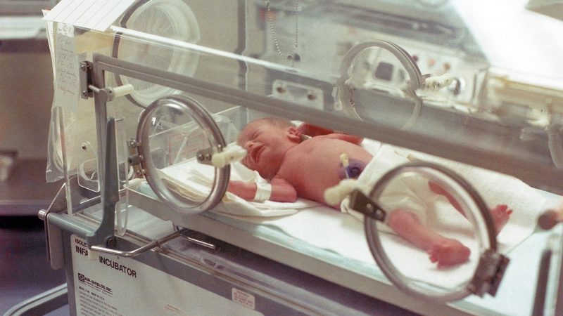Новорождённый в кувезе закрытого типа. Evan-Amos/wikipedia.org/Общественное достояние | Epoch Times Россия