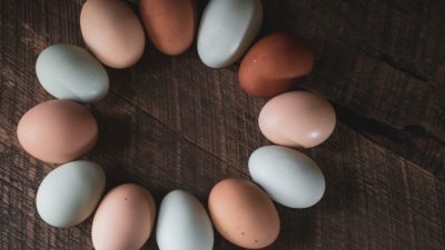 Диетологи рекомендуют для похудения куриные яйца