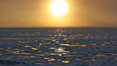 В Арктике зафиксирована самая высокая температура за 115 лет
