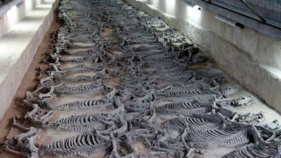 Археологи раскопали место, где китайские императоры приносили в жертву лошадей