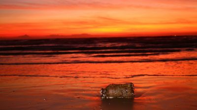 Учёные Австралии нашли способ очистки океана от ртути