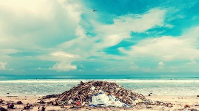 Учёные выяснили, куда деваются пластиковые отходы из океана