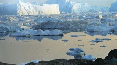 Китай участвует в переговорах о промысле в Арктике