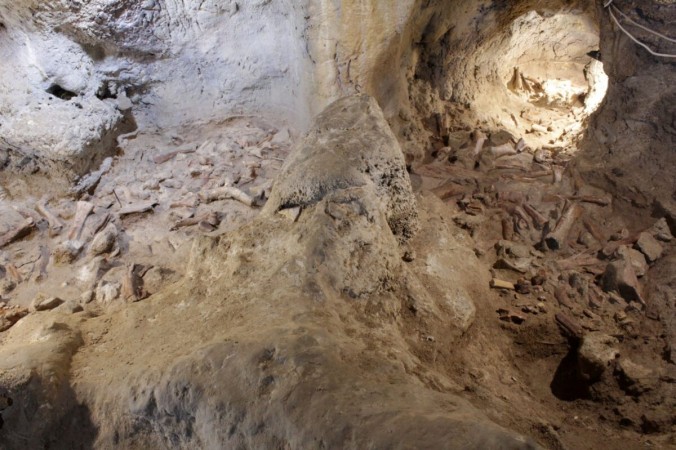 Окаменелые останки, предположительно принадлежащие неандертальцам, замечены в доисторическом месте в пещере Гваттари в Сан-Феличе-Чирчео, Италия, 2021 г. (Министерство культурного наследия, деятельности и туризма / Раздаточный материал через Reuters) | Epoch Times Россия