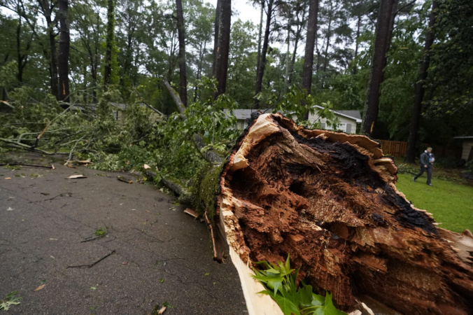 Вырванное ветром дерево на северо-востоке Джексона, штат Миссисипи, 4 мая 2021 года (Rogelio V. Solis/AP Photo) | Epoch Times Россия