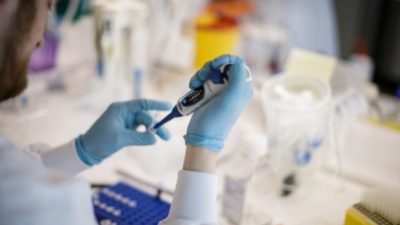 Роспотребнадзор: ПЦР-тест на вирус Нипах появится через несколько дней
