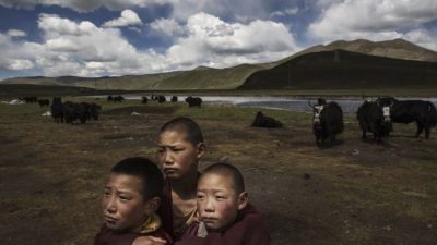 Тибет переживает «золотой век», заявляет компартия в новом докладе