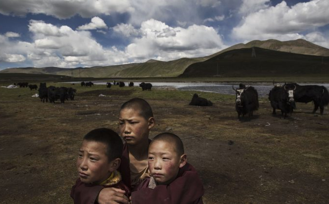 Молодые тибетские буддийские монахи-новички стоят на лугах своего кочевого лагеря 24 июля 2015 года на Тибетском плато в округе Мадоу, Цинхай, Китай. (Кевин Фрайер / Getty Images) | Epoch Times Россия
