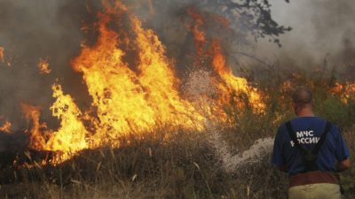Площадь пожаров в Иркутской области за сутки увеличилась на 60%: горит 36000 гектаров леса