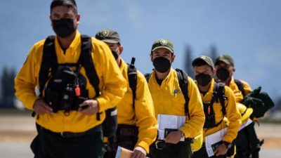 В Британской Колумбии продолжают бушевать более 250 лесных пожаров