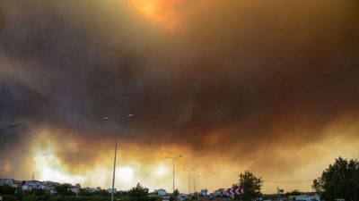 От лесных пожаров в Турции пострадали более 180 человек, погибли трое (Видео)