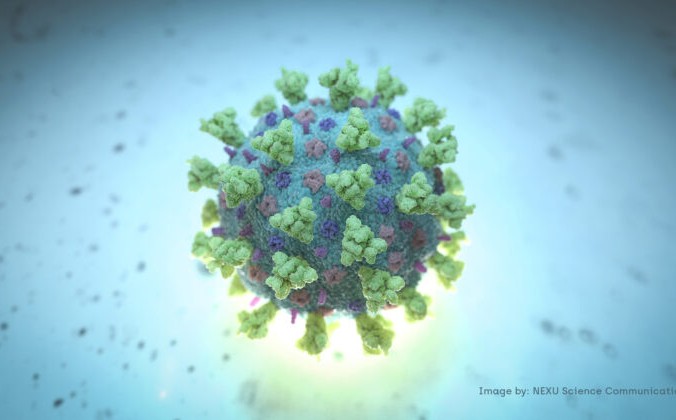 Компьютерное изображение, созданное Nexu Science Communication совместно с Тринити-колледжем в Дублине, показывает модель для бета-коронавируса, который является типом вируса, связанного с COVID-19. Фото: NEXU Science Communication /Reuters | Epoch Times Россия