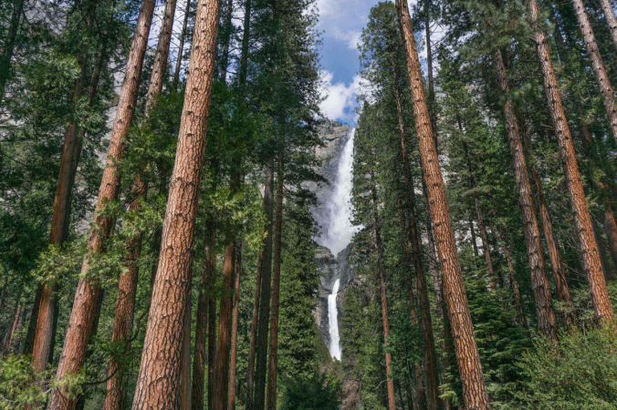 В национальном парке Йосемити в Калифорнии много водопадов, но водопад Йосемити является самым впечатляющим. (Предоставлено Visit Yosemite-Madera County) | Epoch Times Россия