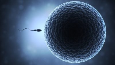 Почему снижается мужская фертильность?