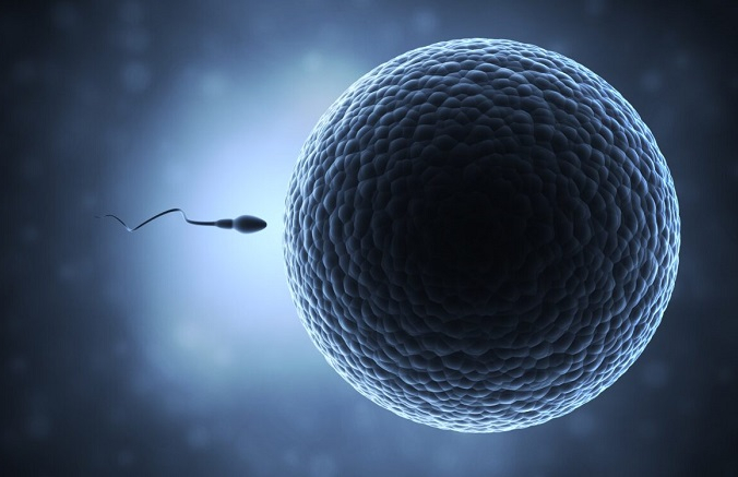 С 1973 по 2011 год концентрация сперматозоидов упала до 50 - 60 процентов (Shutterstock / koya979) | Epoch Times Россия
