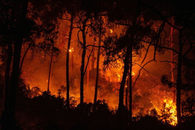 Лесные пожары в Турции организовала террористическая организация «Дети огня» | Epoch Times Россия