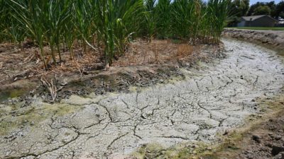 Кыргызстан страдает от рекордной засухи