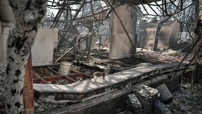 Пожар в предместье Афин: для жителей это настоящее бедствие