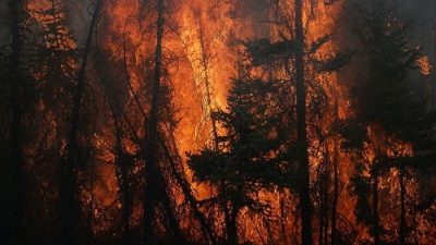 Лесной пожар приблизился к трассе Пермь — Екатеринбург