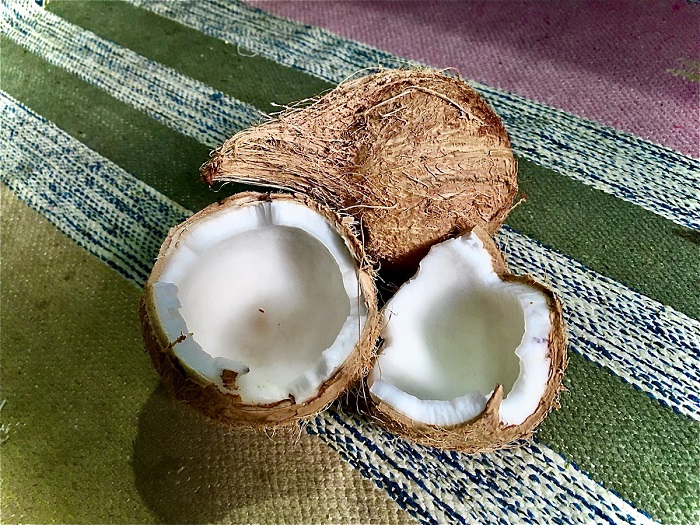 Плоды кокоса. (Предоставил Дживан Мукта)