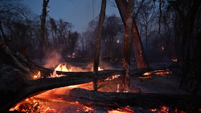 Пожары от поджогов уничтожают экологические заповедники в Боливии