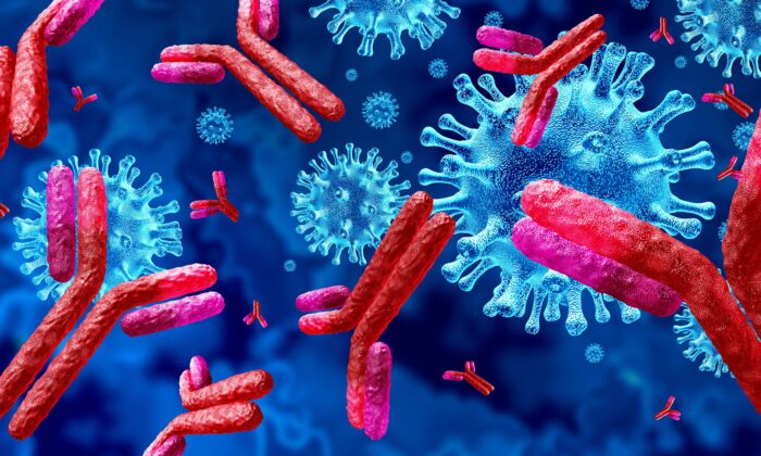 Новое исследование порождает обеспокоенность в отношении антител, вызванных Covid-19 и вакцинами. (Lightspring/Shutterstock) | Epoch Times Россия