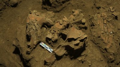 7000-летние останки раскрывают тайну загадочной расы
