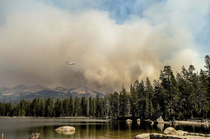 Пожар «Калдор» в Калифорнии: Байден объявил о введении режима ЧС