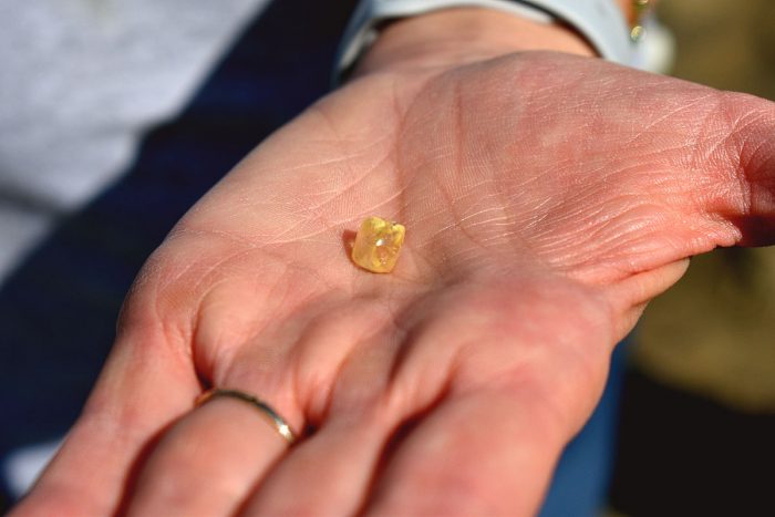 Женщина из Калифорнии нашла в парке жёлтый бриллиант грушевидной огранки весом 4,38 карата