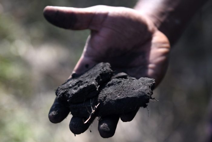 Рост цен на импортный уголь спровоцировал в Индии крупнейший энергетический кризис
