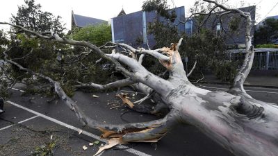 Ураганный ветер в Австралии оставил без электричества более 450000 домов